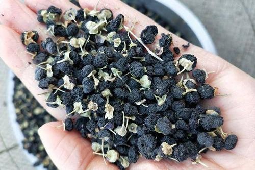 OEM Packing Chinese Herb Drink Pure Dry Black Goji Berry Tea